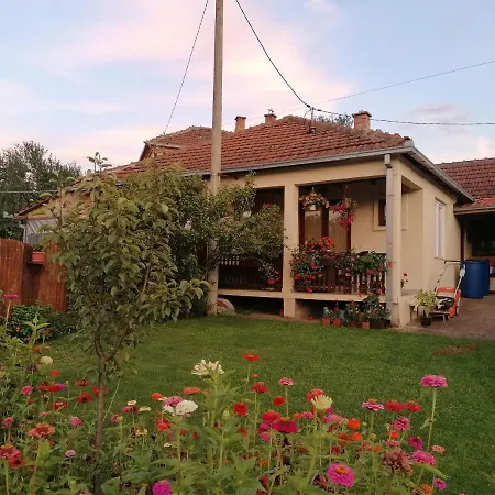 Markov Apartment Babusnica