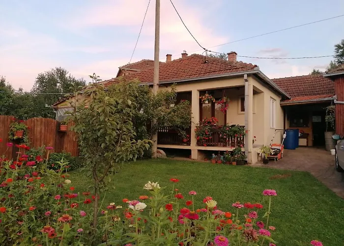 Markov Apartman Babusnica